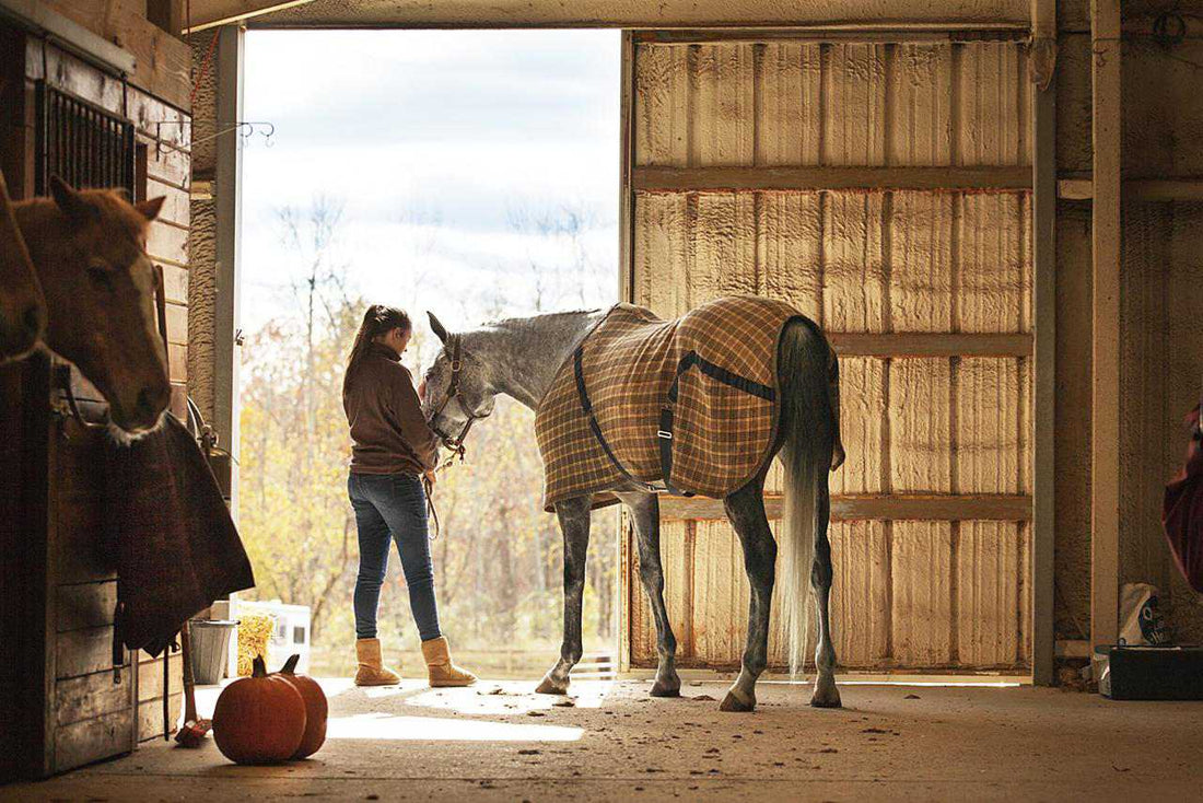 What To Do While Waiting For The Vet If Your Horse Has Suspected Colic